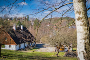 Rony Villa - In the middle of nature, Przesieka
